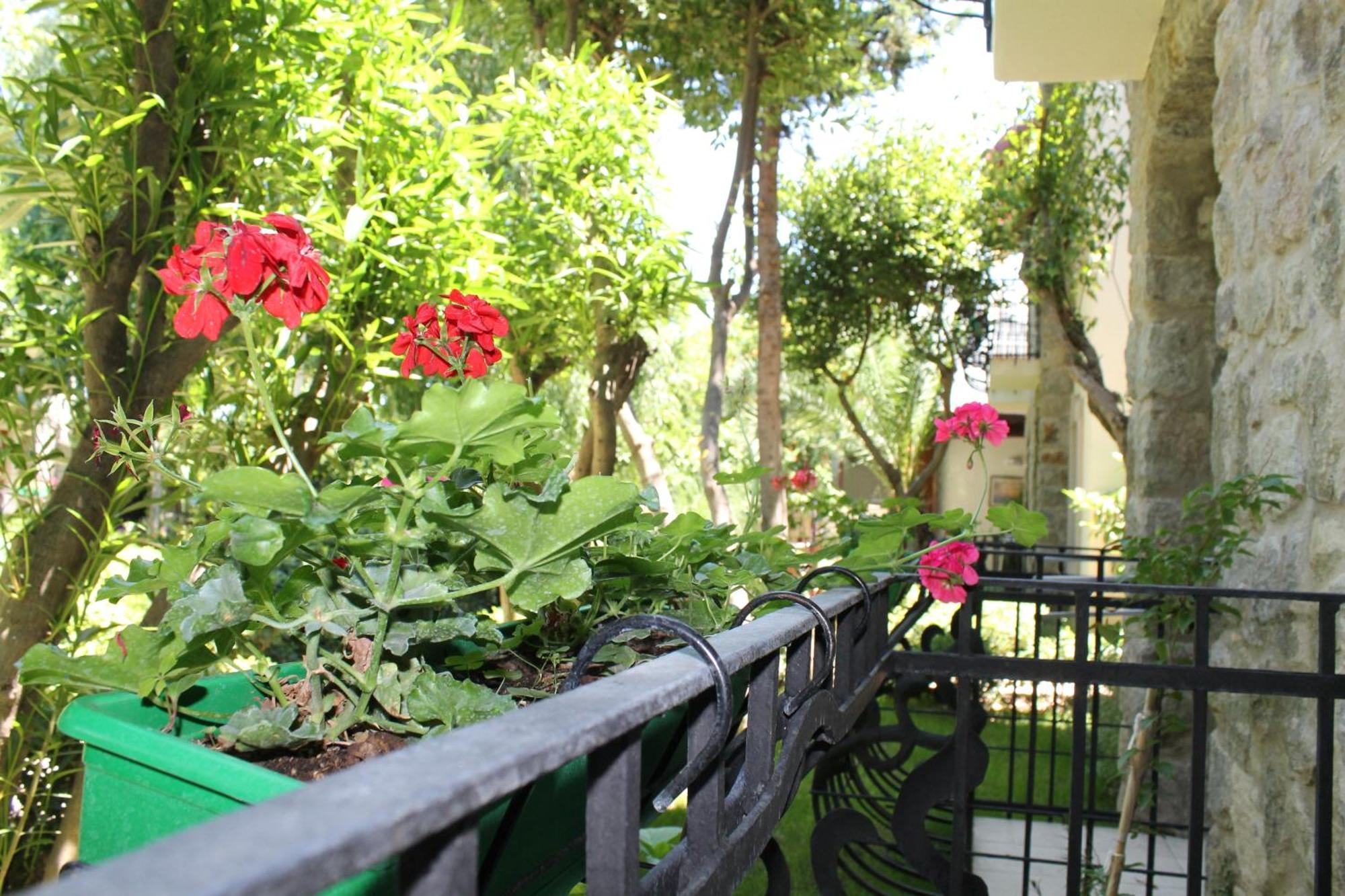 בודרום Bella Garden Hotel מראה חיצוני תמונה